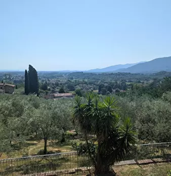 Foto annuncio 56