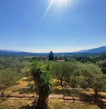 Foto annuncio 6