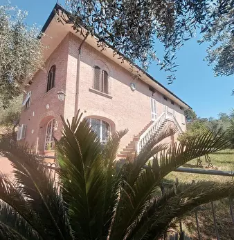 Foto annuncio 58
