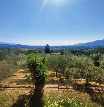 Foto annuncio 5