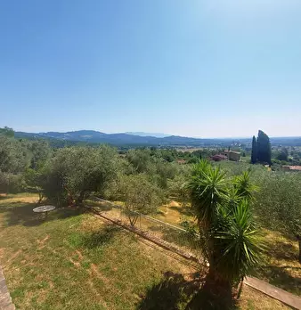 Foto annuncio 51