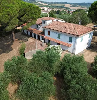 Foto annuncio 3