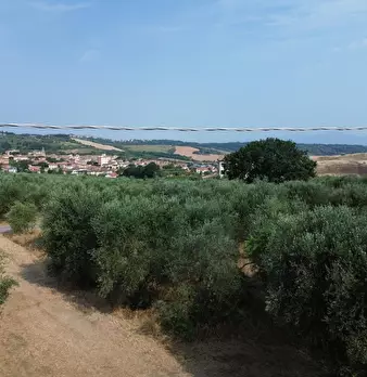Foto annuncio 16