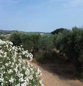 Foto annuncio 17
