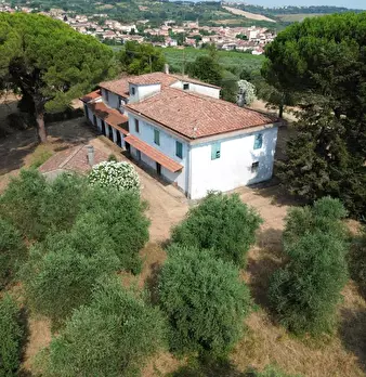 Foto annuncio 2