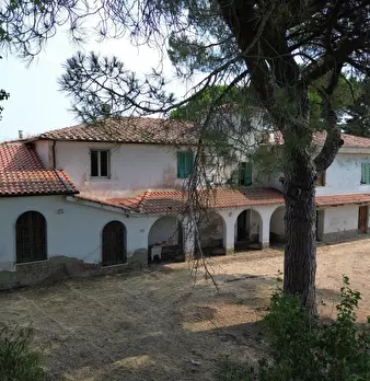 Foto annuncio 5