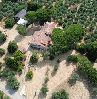 Foto annuncio 9