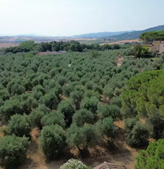 Foto annuncio 19