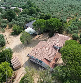 Foto annuncio 14