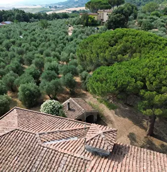 Foto annuncio 20