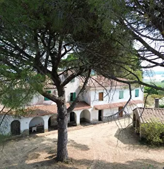 Foto annuncio 25