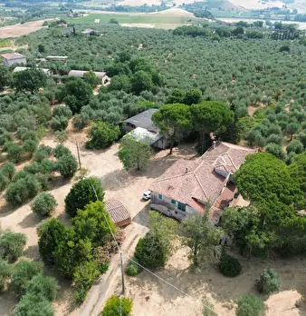 Foto annuncio 10