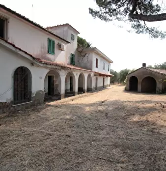 Foto annuncio 8