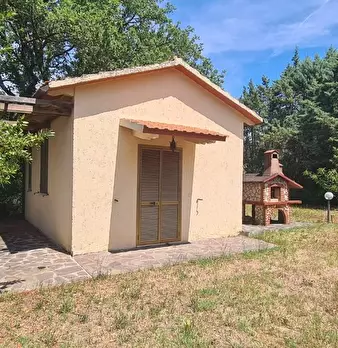 Foto annuncio 38
