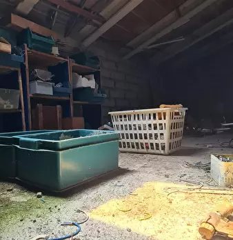 Foto annuncio 20