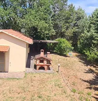 Foto annuncio 12
