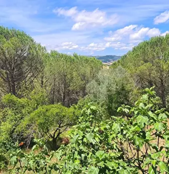Foto annuncio 37