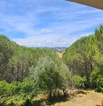 Foto annuncio 8