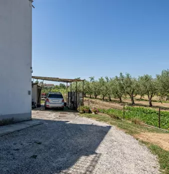 Foto annuncio 11