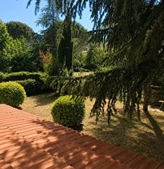 Foto annuncio 19