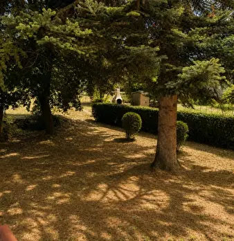 Foto annuncio 18