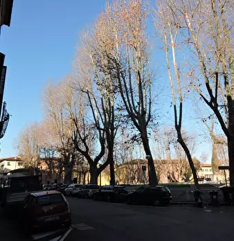 Foto annuncio 2