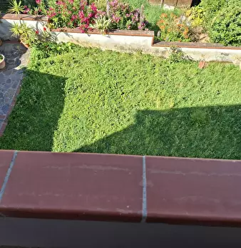 Foto annuncio 8