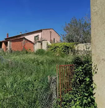 Foto annuncio 5
