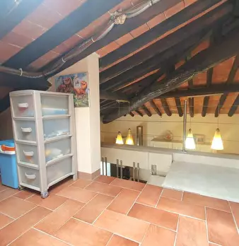 Foto annuncio 56