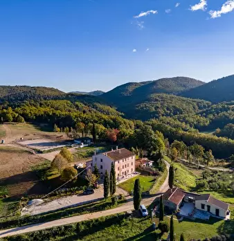 Foto annuncio 9