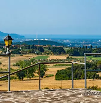 Foto annuncio 23