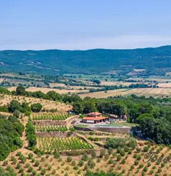 Foto annuncio 19
