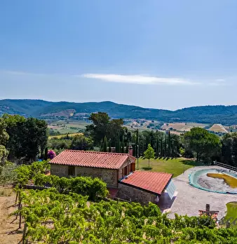 Foto annuncio 18