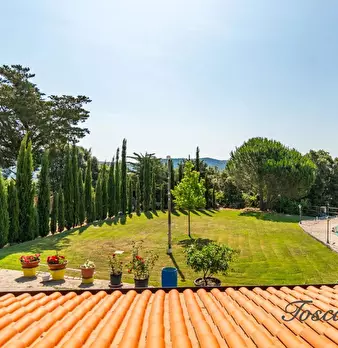 Foto annuncio 41