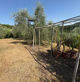Foto annuncio 9