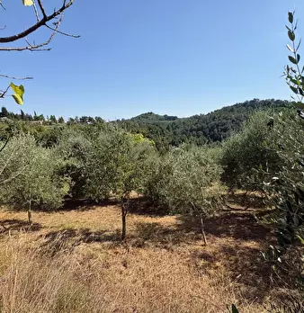 Foto annuncio 6