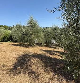 Foto annuncio 4