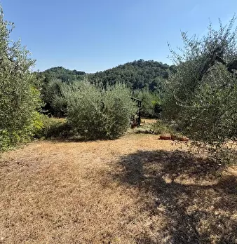 Foto annuncio 8