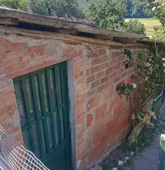 Foto annuncio 17