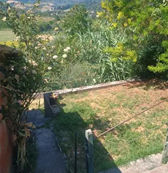 Foto annuncio 18