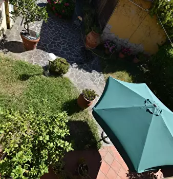 Foto annuncio 31