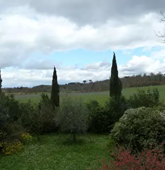 Foto annuncio 9