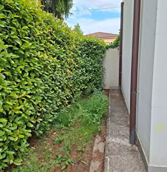 Foto annuncio 27