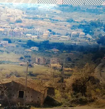 Foto annuncio 6