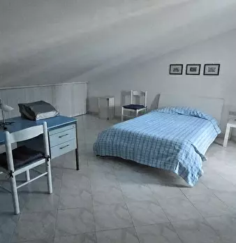 Foto annuncio 12