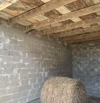Foto annuncio 8
