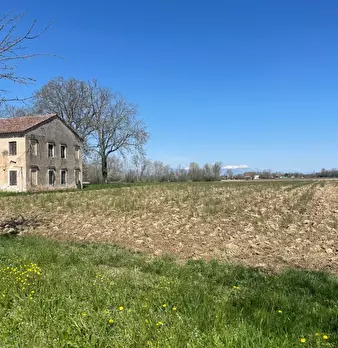 Foto annuncio 9