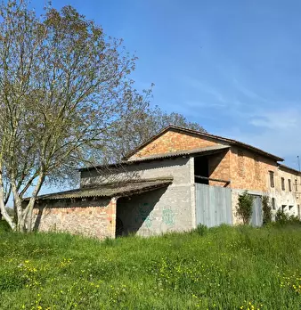 Foto annuncio 6