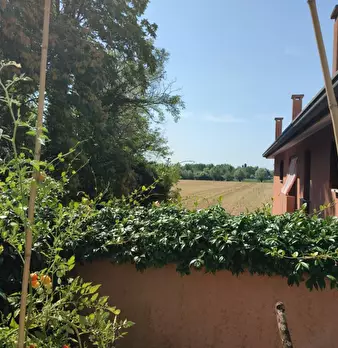 Foto annuncio 30