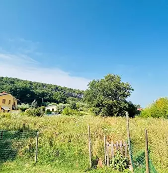 Foto annuncio 37